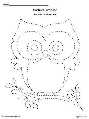 owl kindergarten worksheet