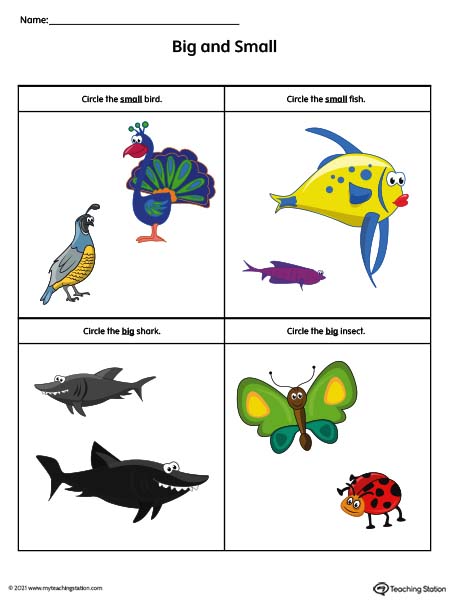 Big and Small Worksheet: Animals (Color) 