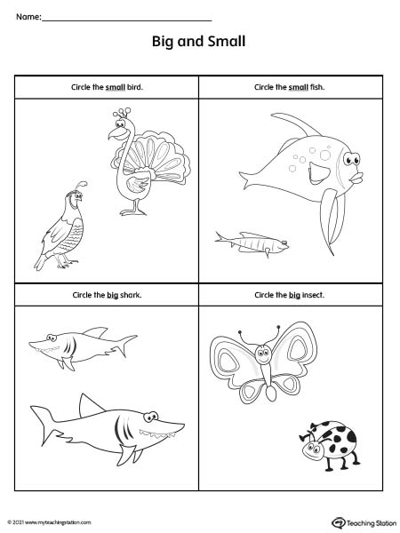 Big and small preschool worksheets. Comparing animals sizes in this pre-k math printable.