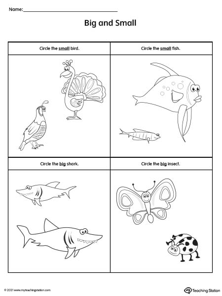 Big and Small Worksheet: Animals