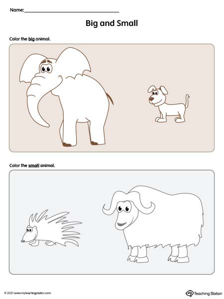 Big and Small Worksheet: Elephant vs Dog and Porcupine vs Ox (Color)