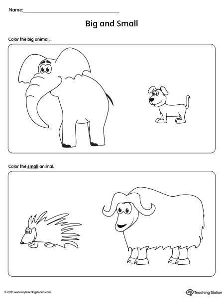 Big and Small Worksheet: Elephant vs Dog and Porcupine vs Ox
