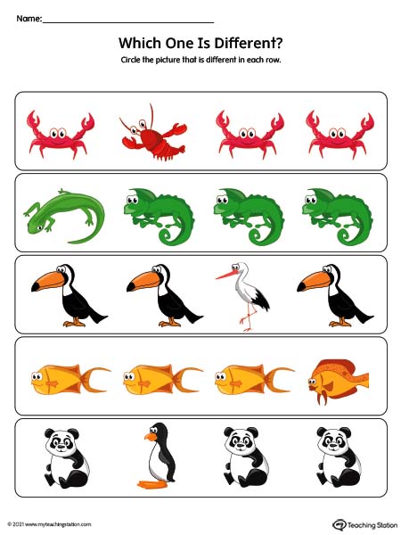 Compare and find the one that is different in this animal theme printable worksheet.