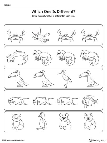 Compare and find the one that is different in this animal theme printable worksheet.